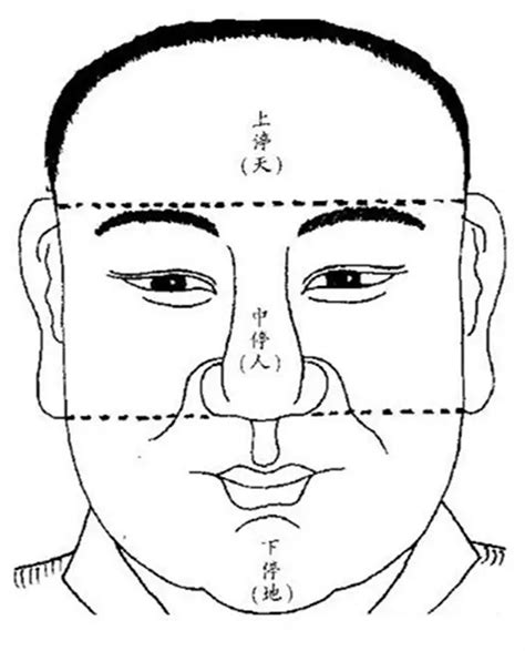 面相学